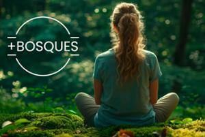 Noticia - VISITAS BOSQUES PONTEVEDRA E SILLEDA 24-09-2026