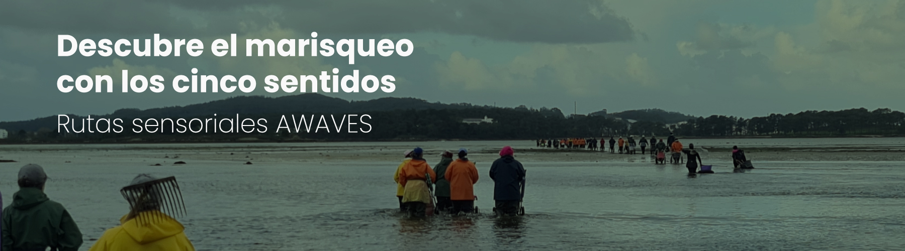 
		
		Rutas de marisqueo
	