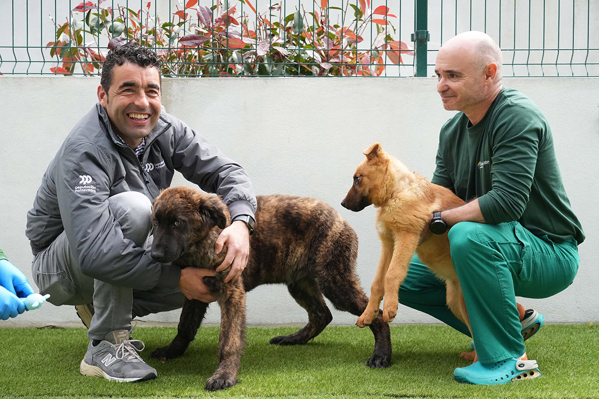 A Deputación dedica máis dun millón de euros anuais ao CAAN para favorecer a adopción e perseguir o abandono animal