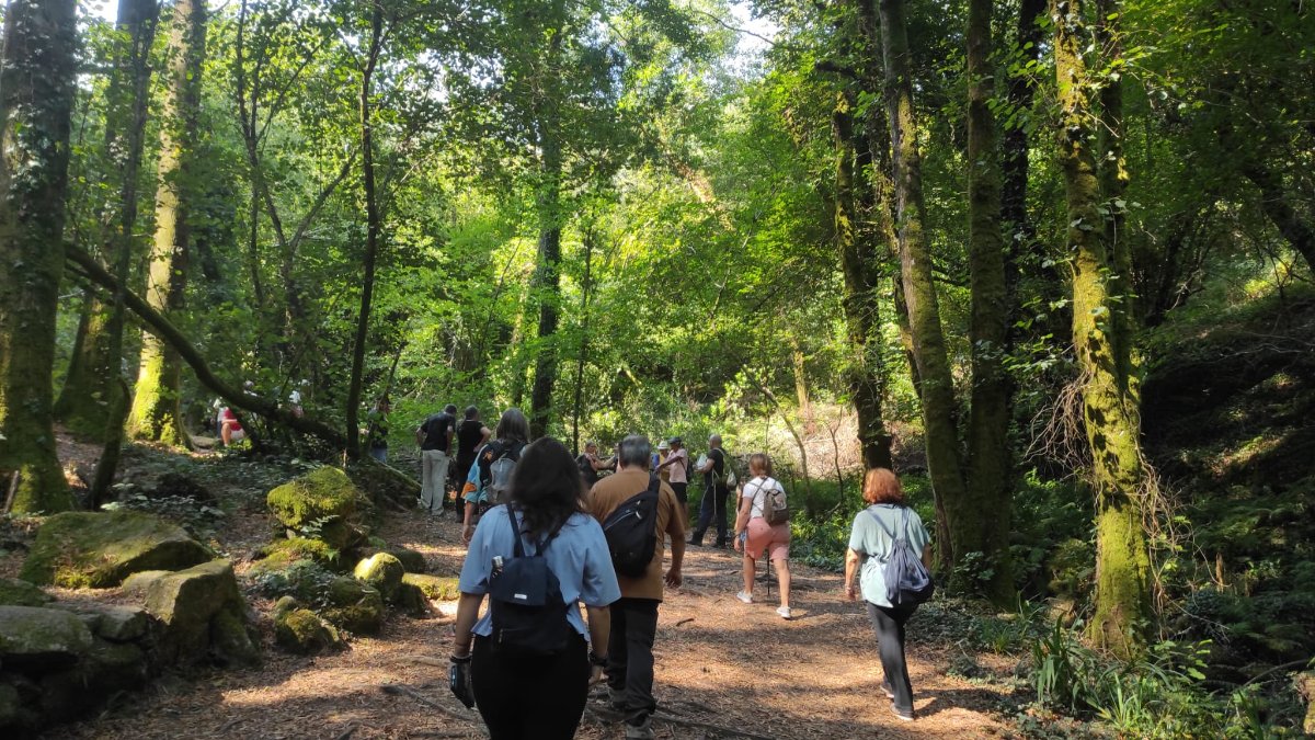 Noticia - VISITAS BOSQUES PONTEVEDRA E BARRO 29-07-2026