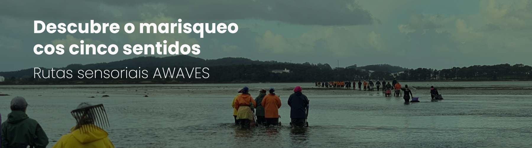 
		Rutas de marisqueo
		
	