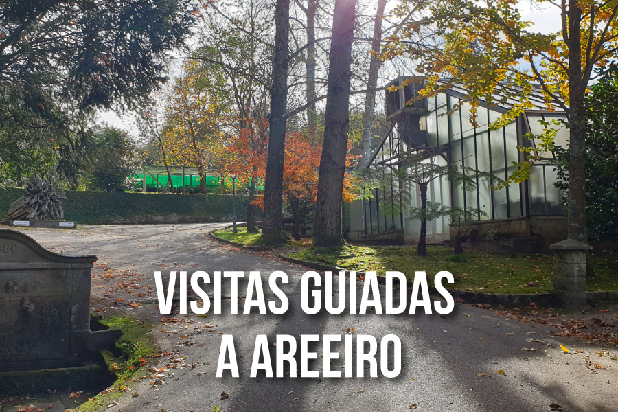 Visitas guiadas Areeiro 