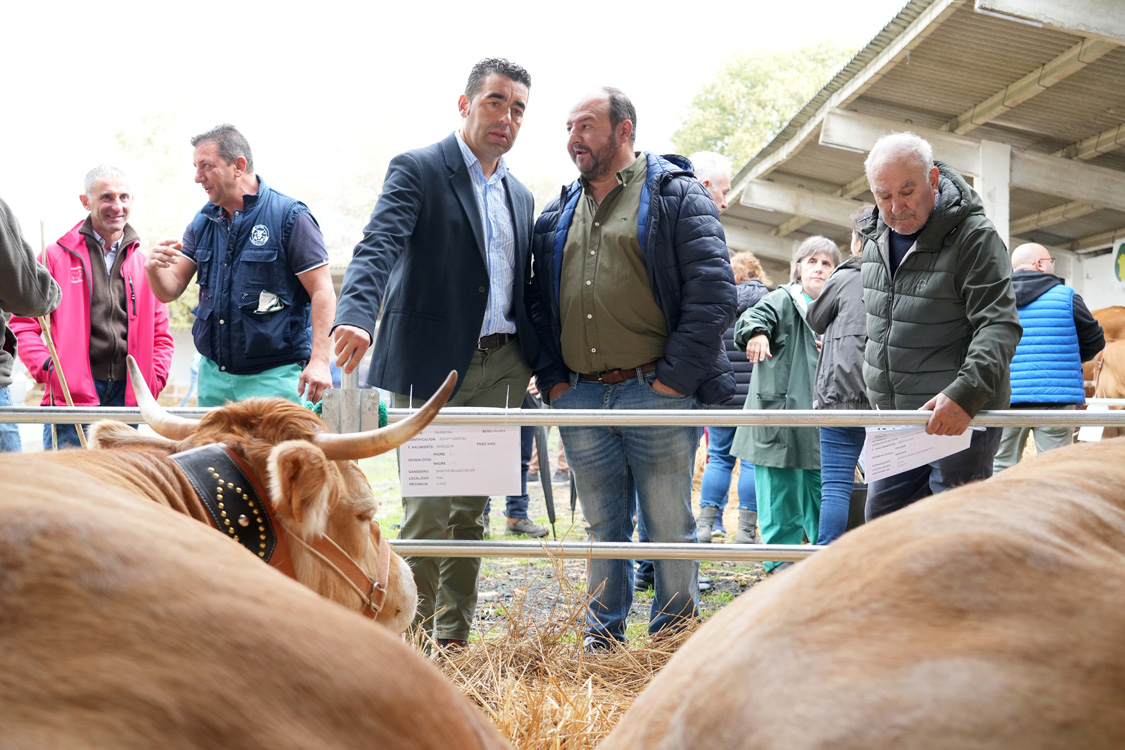 Luis López Feira Rubia Galega do País Rodeiro