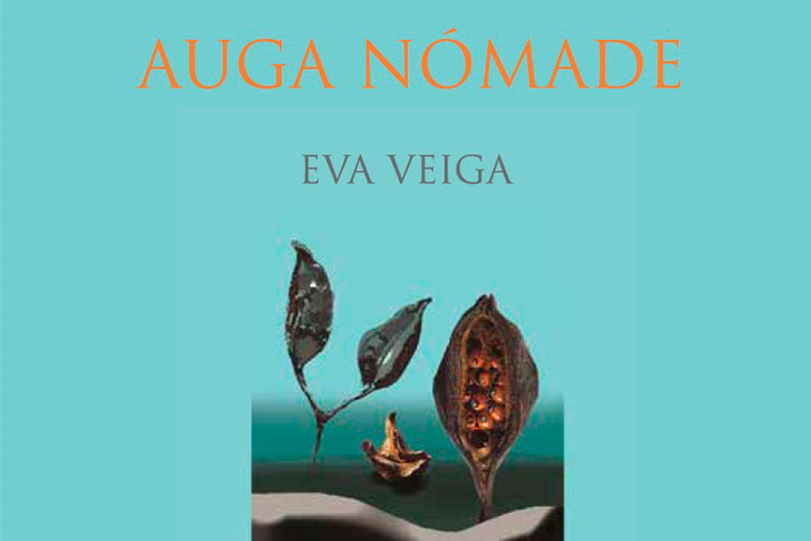  
		A Deputación presenta este sábado na Illa do Medal en Pontesampaio o libro ‘Auga Nómade’ de Eva Veiga
	