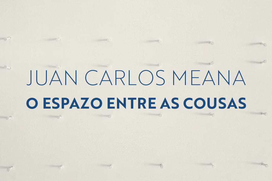  
		O Museo de Pontevedra reúne 30 pezas de Juan Carlos Meana na exposición “O espazo entre as cousas”
	
