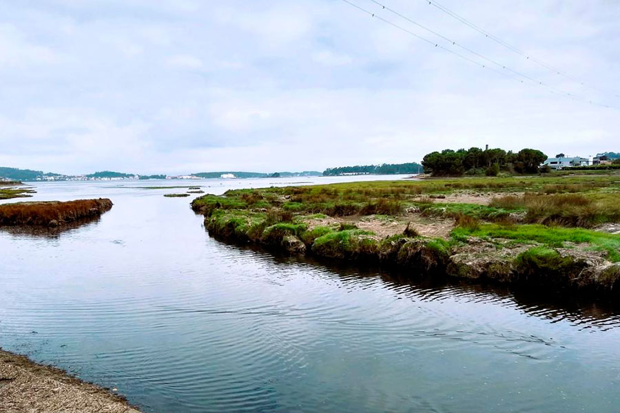 Esteiro do río Lérez e Intermareal Combarro Lourido (Pontevedra - Poio)