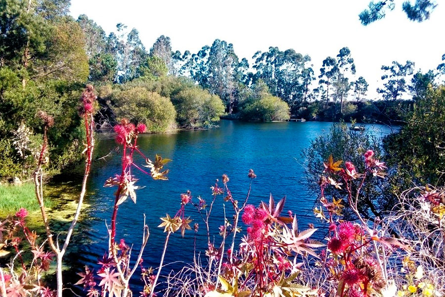 Campos y lagunas de Rouxique (Sanxenxo)