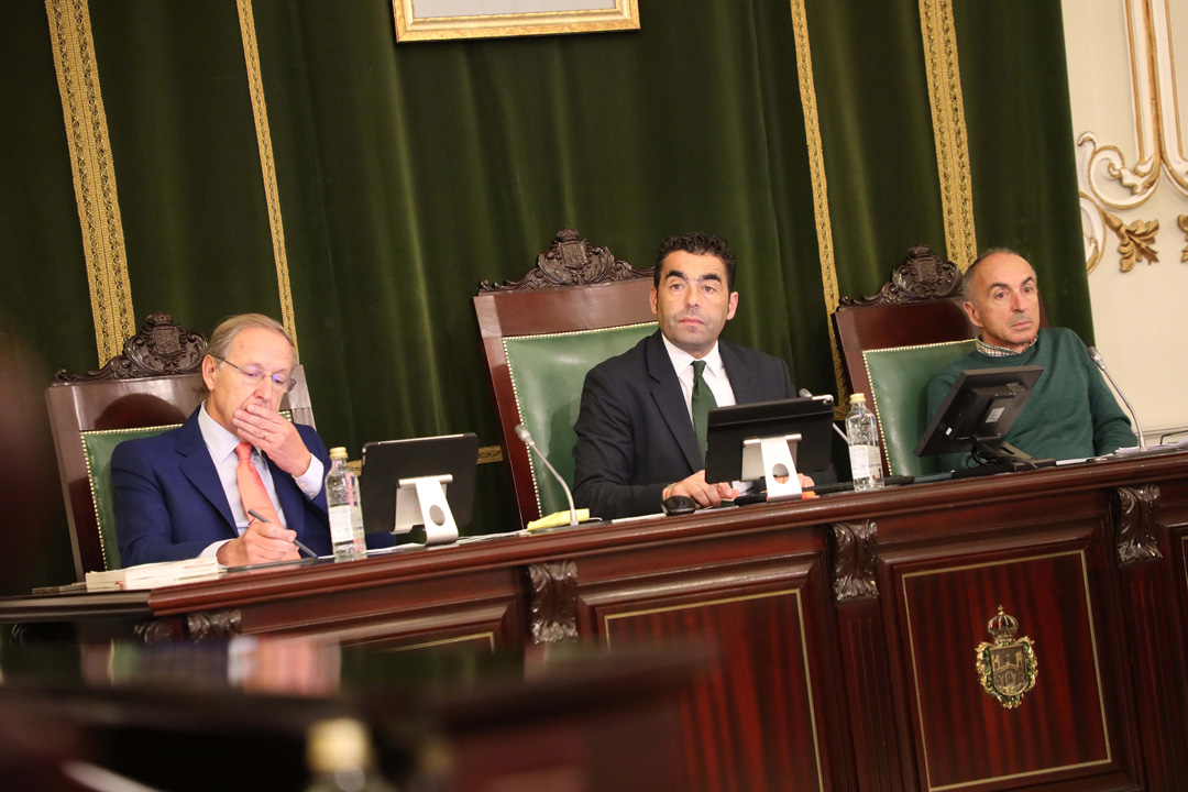 Pleno extraordinario 08-11-2024