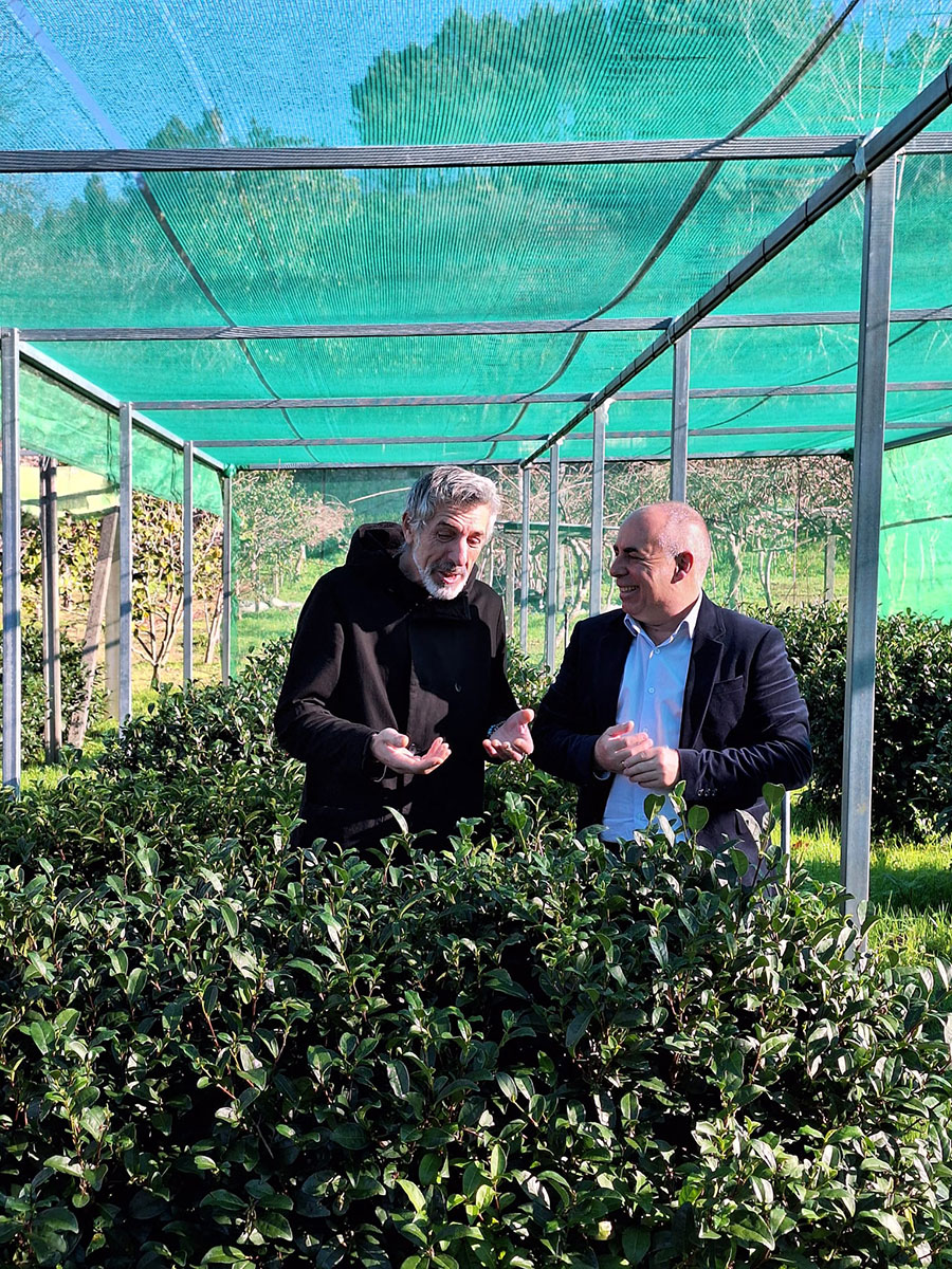 Javier Tourís e Pepe Solla