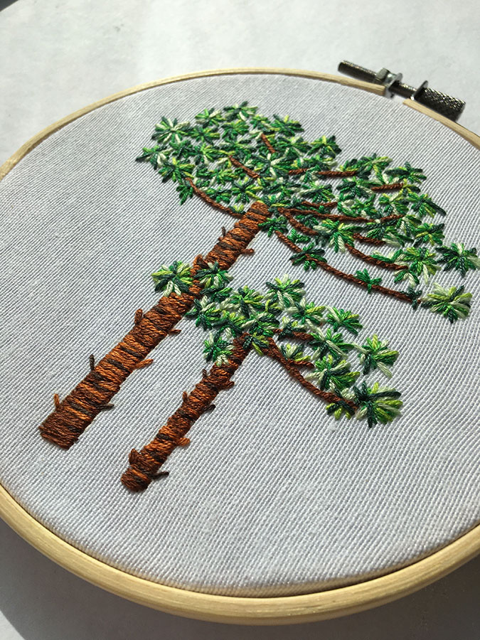 bordado inspirado en Castelao