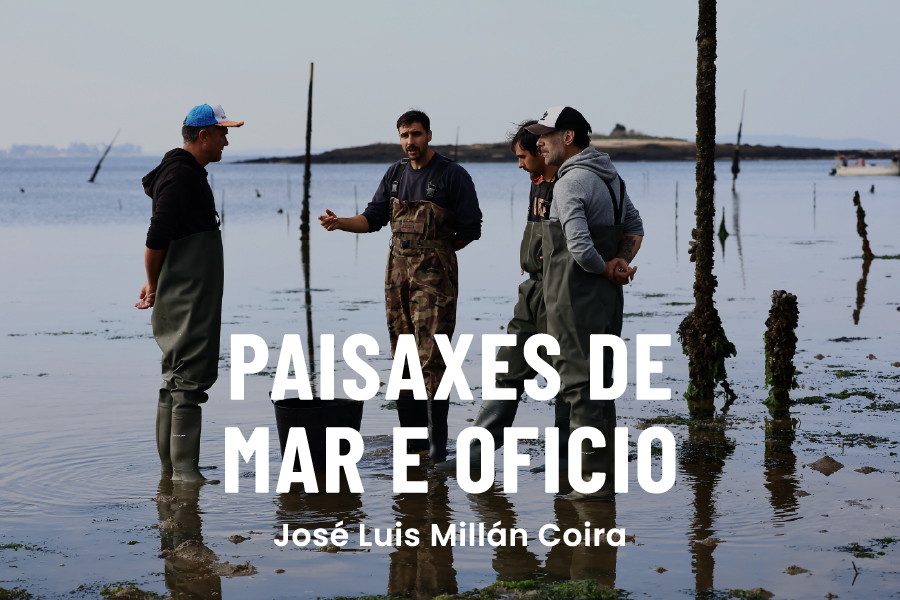 Paisaxes