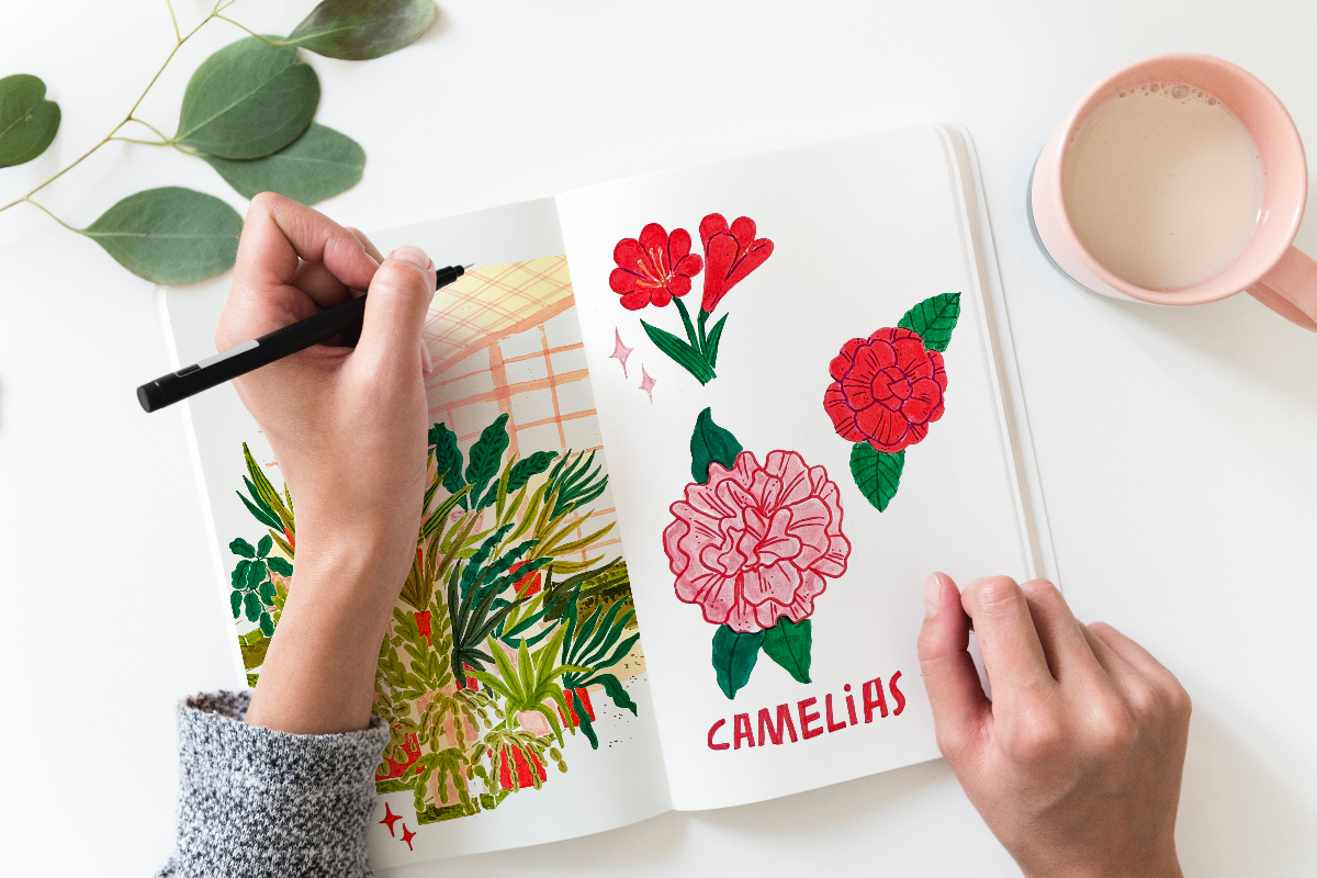 O Museo de Pontevedra programa obradoiros infantís en Semana Santa sobre ilustración botánica e José Suárez