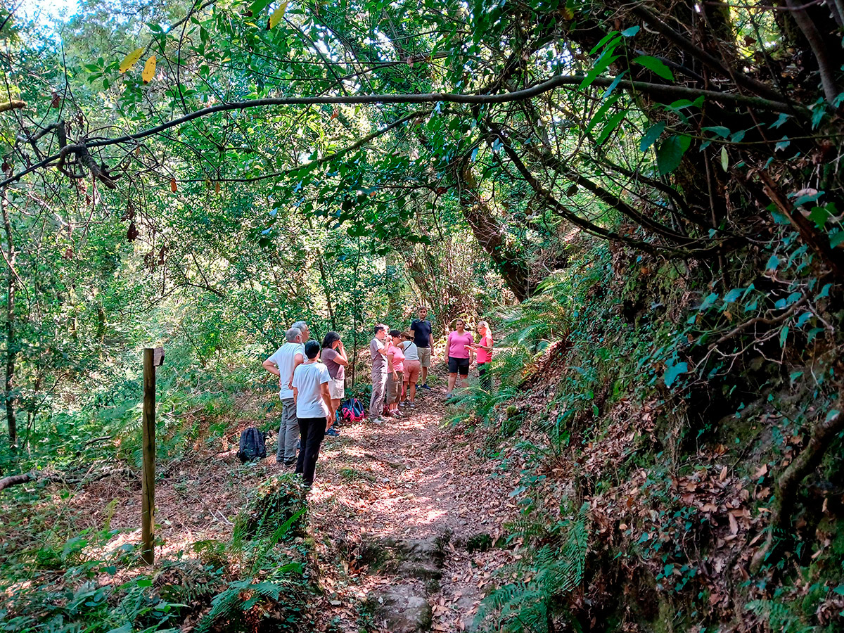 A Deputación continúa esta fin de semana en Silleda e Pontevedra os percorridos do programa provincial +Bosques