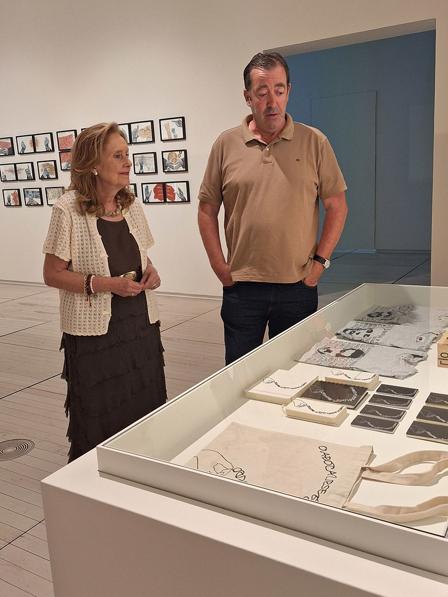 A Deputación acolle no Museo de Pontevedra unha mostra que percorre os derradeiros vinte anos de creación artística de José Freixanes