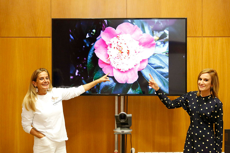 Camelia María Casares