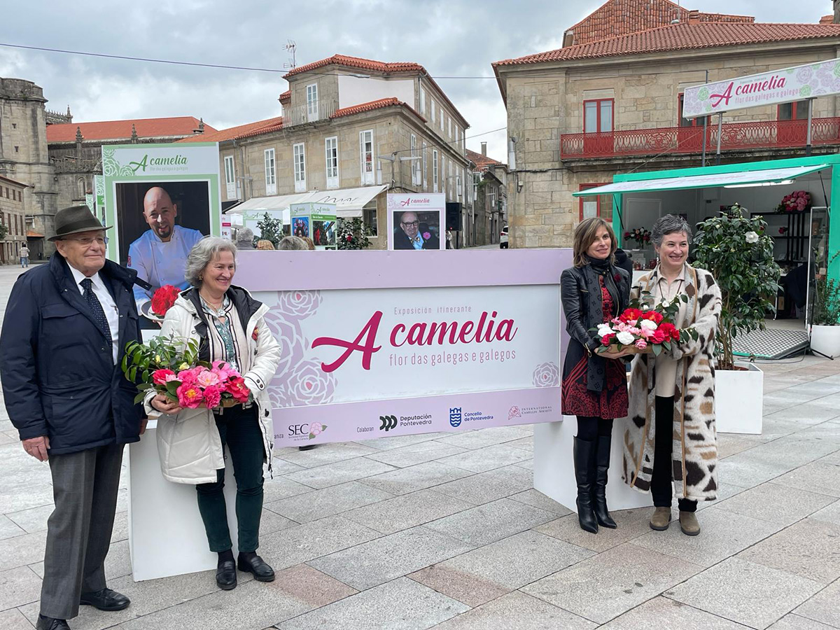 A camelia, flor das galegas e dos galegos
