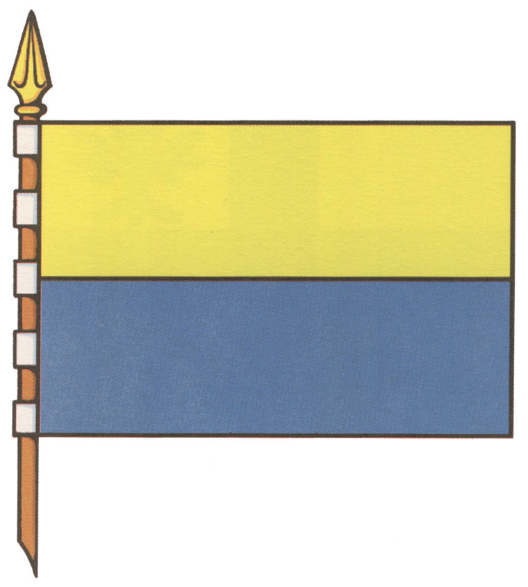 Bandera de Pazos de Borbén