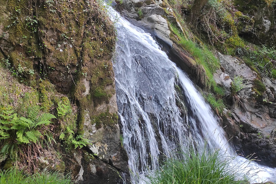 Río Maneses (O Campo Lameiro)