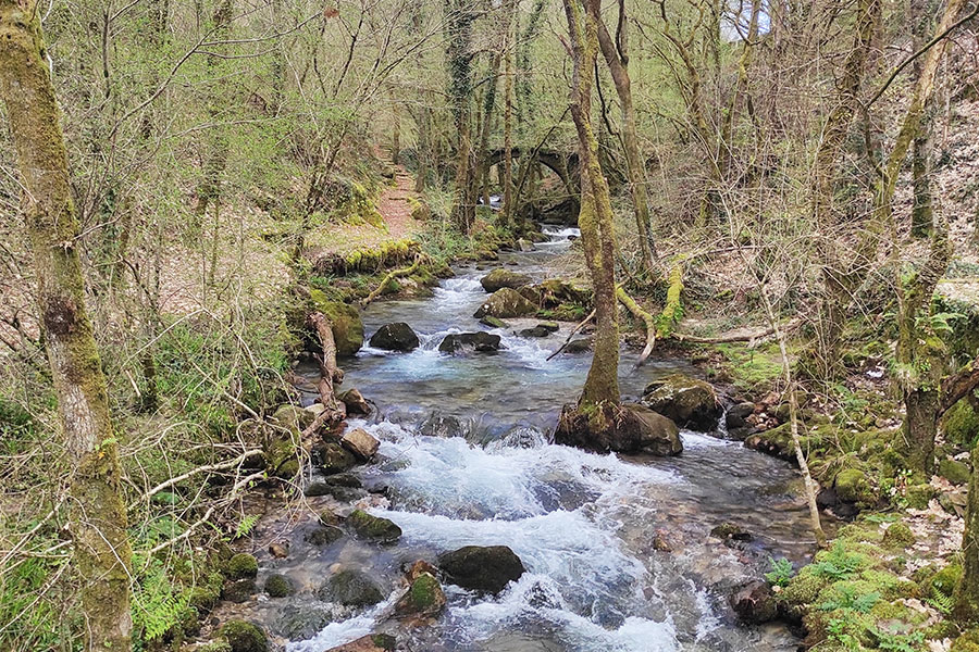 fervenzas de Parafita e Raxoi (Valga)