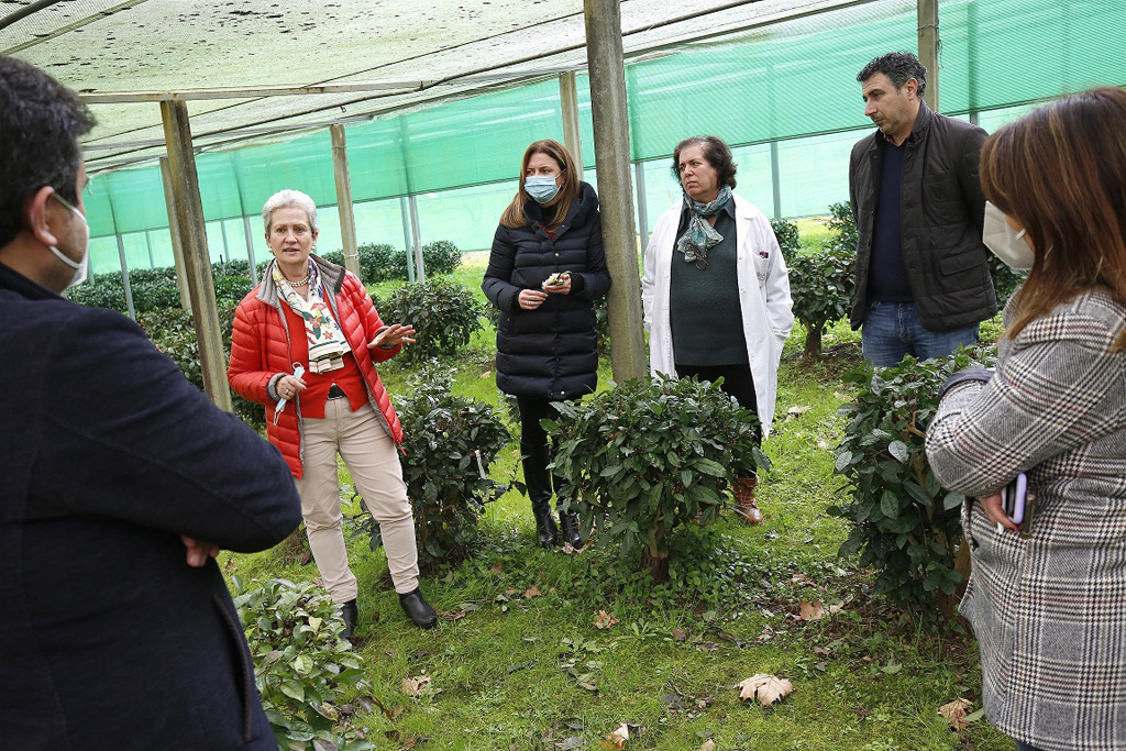 Ruta da Ciencia Areeiro
