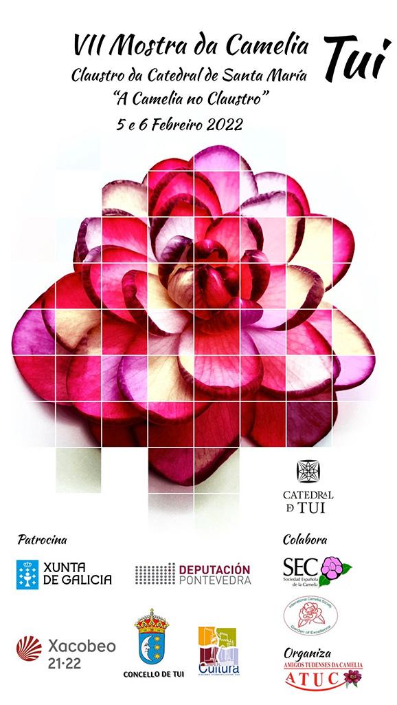 VII Mostra da Camelia